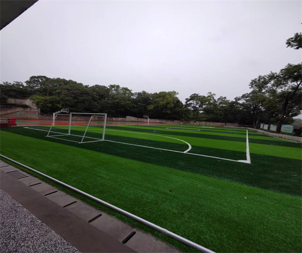 清聯學校運動場 清聯學校運動場